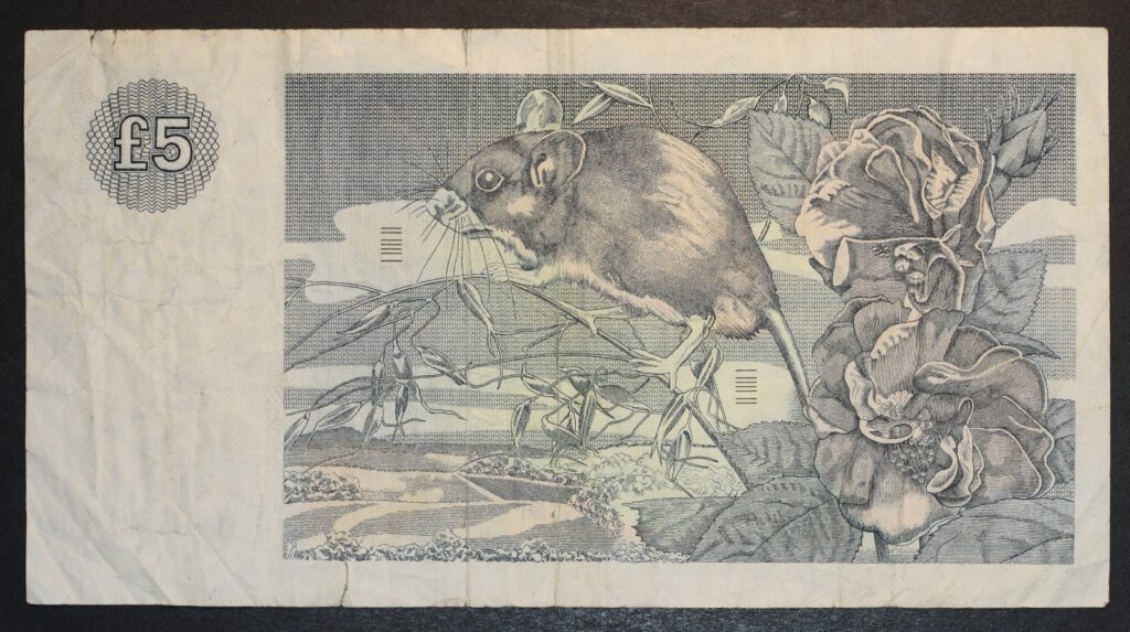 Kristiansand Mynthandel