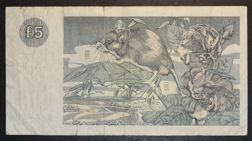 Kristiansand Mynthandel